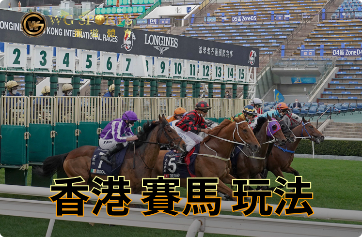 由淺到深 新手必看香港賽馬玩法詳解 | 另類線上賽馬玩法原來仲易贏？